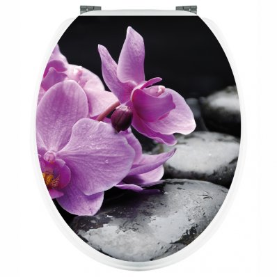 Stickers Orchidée sur Galets