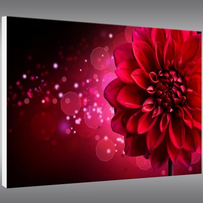 Tableau Forex Fleur