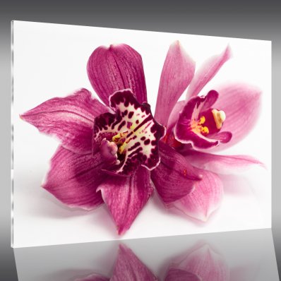 Tableau Plexi Fleur