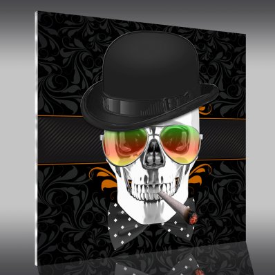 Tableau Plexi Skull