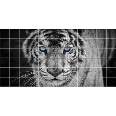 Tiger - Tiles Wall Stickers