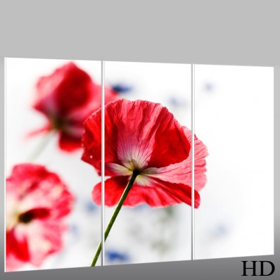 Triptyque Forex Fleur