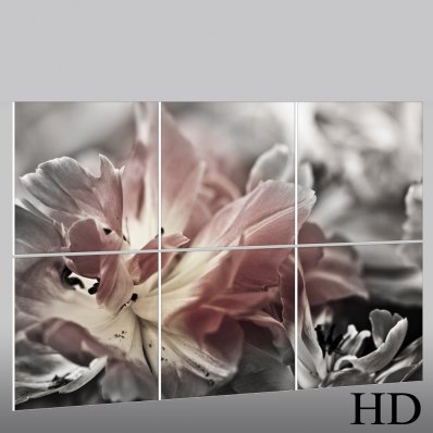 Triptyque Forex Fleur