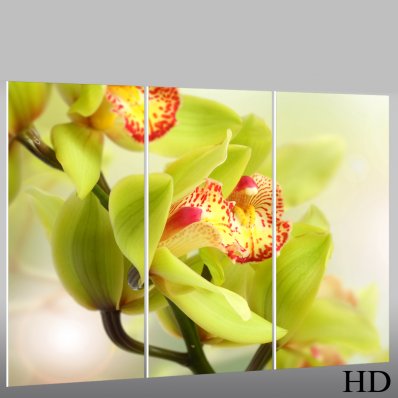 Triptyque Forex Orchidée