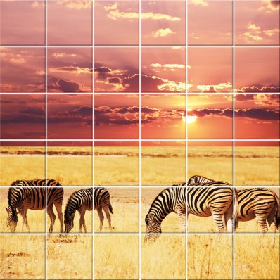 Zebra - Tiles Wall Stickers