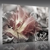 Acrylglasbild Blume