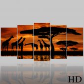 Africa - Triptych Forex Print