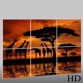 Africa - Triptych Forex Print