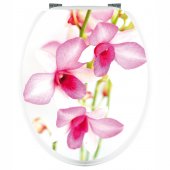 Aufkleber für Toilettendeckel Orchidee