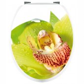 Aufkleber für Toilettendeckel Orchidee