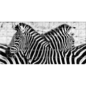 Autocolante Azulejo zebra
