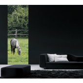 Banner Horse Wall Sticker