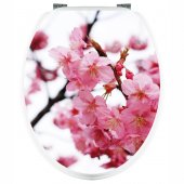 Cherry - Toilet Seat Decal Sticker