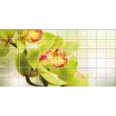 Flower - Tiles Wall Stickers