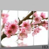 Flower - Triptych Forex Print