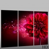 Flower - Triptych Forex Print