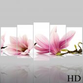 Flower - Triptych Forex Print