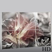 Flower - Triptych Forex Print