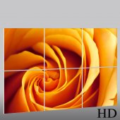 Flower - Triptych Forex Print