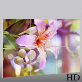 Flower - Triptych Forex Print