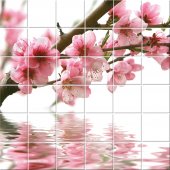 Flowers - Tiles Wall Stickers