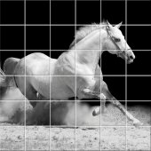 Horse - Tiles Wall Stickers