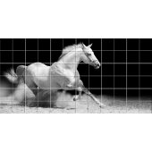 Horse - Tiles Wall Stickers