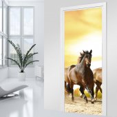 Horses Door Stickers