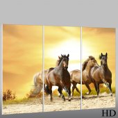 Horses - Triptych Forex Print