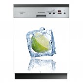 Ice - Dishwasher Cover Panels