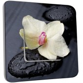 Interrupteur Décoré Poussoir Pierres Orchidé 10