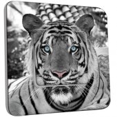 Interrupteur Décoré Poussoir Tigre Black&White