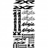 Kawasaki ninja ZXR Decal Stickers kit