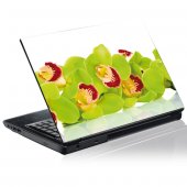 Laptop-Aufkleber Orchidee