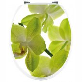 Naklejka na WC - Zielona Orchidea