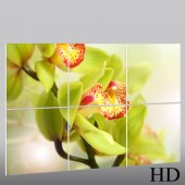 Orchid - Triptych Forex Print