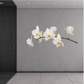 Orchid Wall Stickers