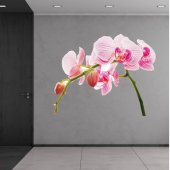 Orchid Wall Stickers