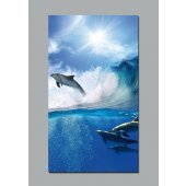 Poster Autocolante golfinho