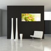 Quadro PVC Forex orquídea