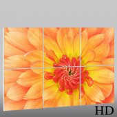 Quadro Triptico PVC flores