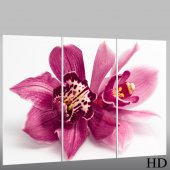 Quadro Triptico PVC orquídea