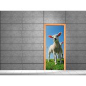 Sheep Door Stickers