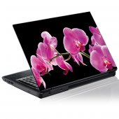 Sticker laptop exterior Orhidee