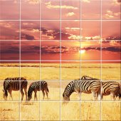 Sticker pentru faianta Zebra