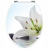 Sticker WC Floare de Iris