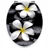 Sticker WC Floare pe Bolovan