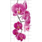 Stickers carrelage fleurs