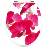 Stickers Orchidées