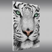 Tiger - Forex Print